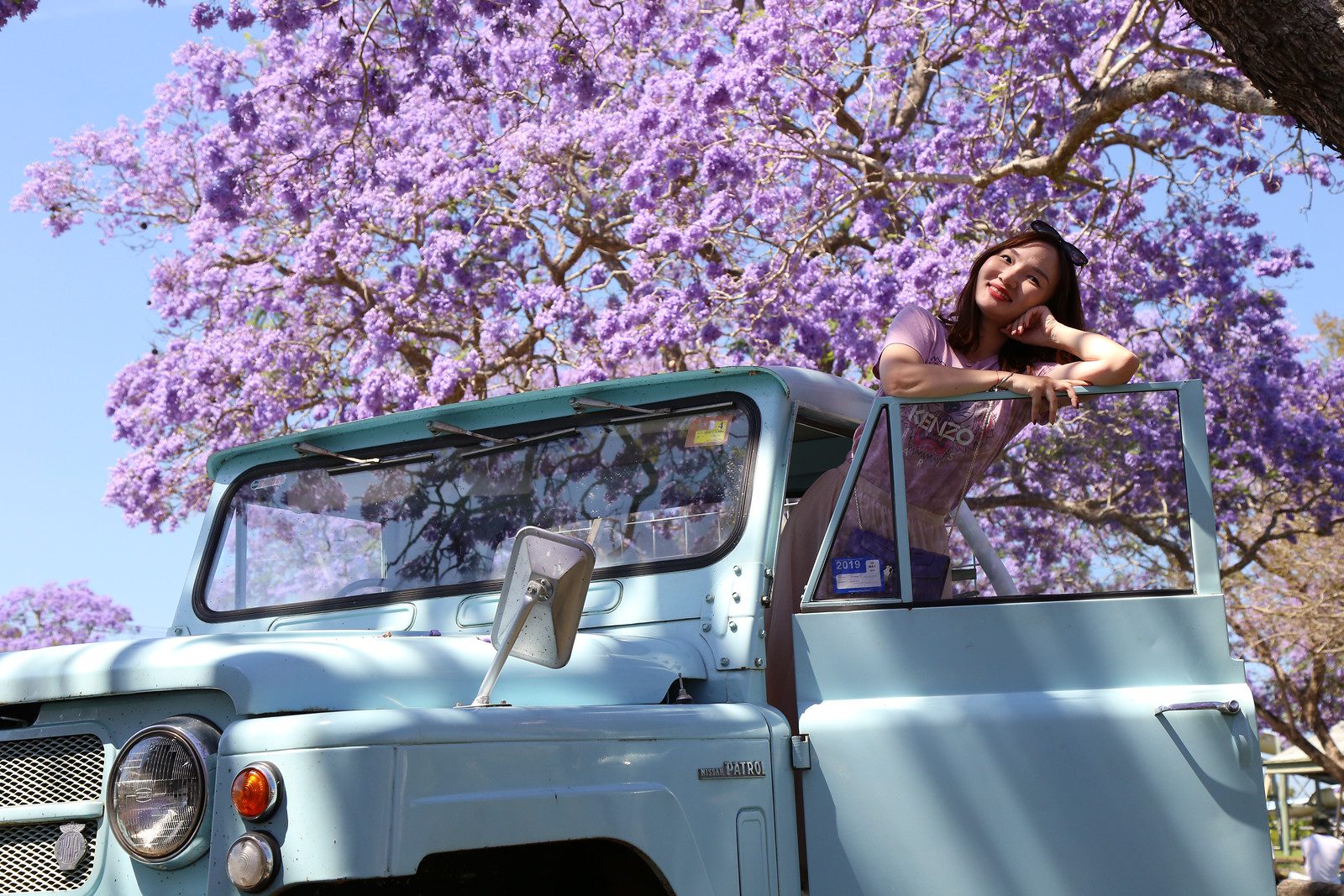 jacaranda-4