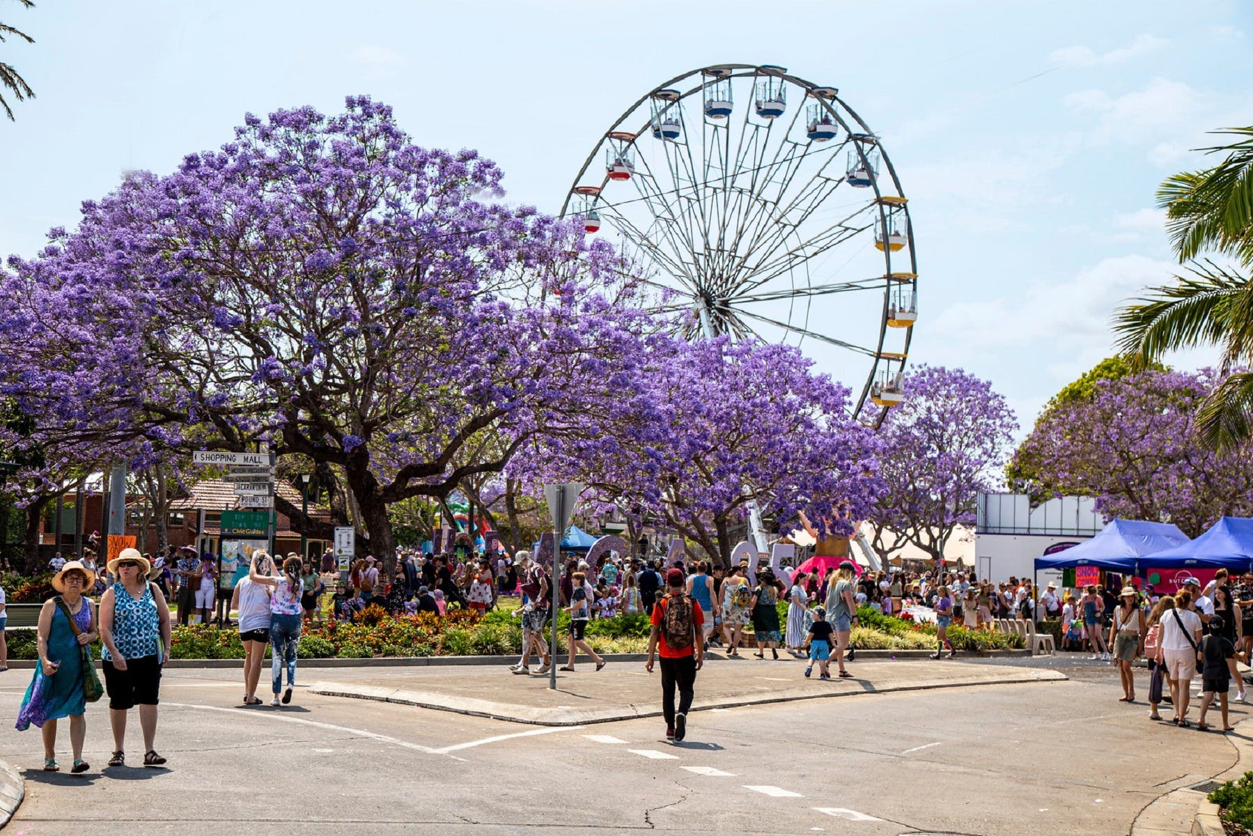Crowds under the jacarandas at Market Square, Grafton