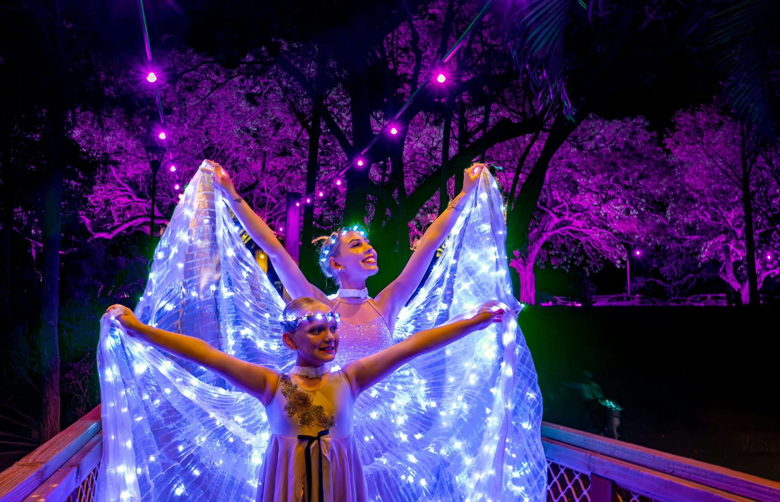 Jacaranda Festival Kick off Event